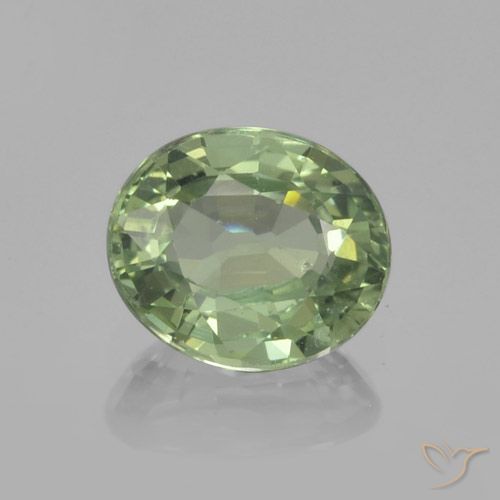 0.80ct Natürlicher Helles Salbeigrün Saphir, Oval, VVS-VS