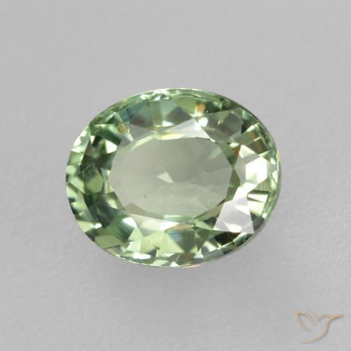 9,17 ctw natürlicher Medium Light Green Saphir, Oval, VVS-VS