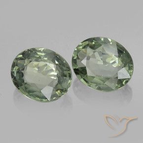 1.53 ct natürliche Erdiges Grün Saphir-Edelsteine, Oval, VVS-VS