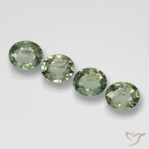 2.98ctw Natürlicher Waldgrün Saphir, Oval, VVS