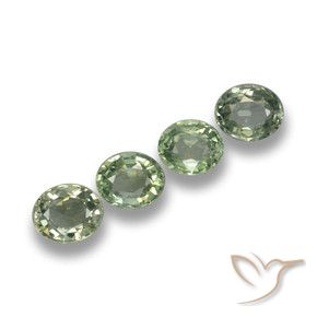 3.12 ct natürliche Waldgrün Saphir-Edelsteine, Oval, VVS-VS