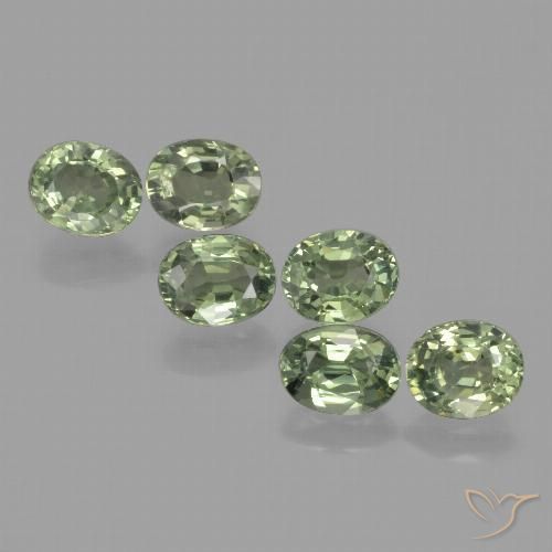 4.91ctw Natürlicher Waldgrün Saphir, Oval, VVS-VS