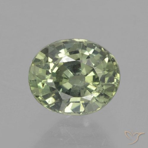 0.91ct Natürlicher Medium Light Green Saphir, Oval, VS