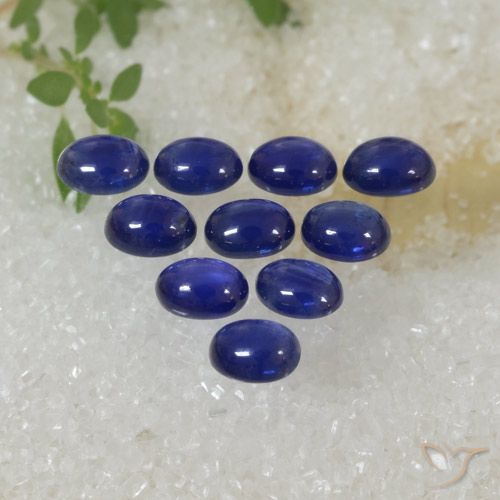 2.78ctw Natürlicher Intensives Marineblau Saphir, Oval, Lichtdurchlässig