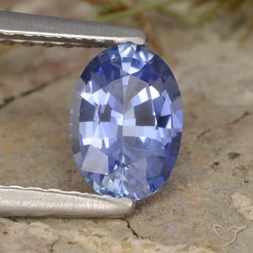 9,17 ctw natürlicher Mittleres Marineblau Saphir, Oval, VVS-VS