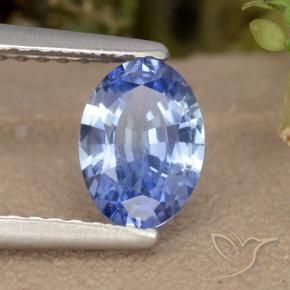 9,17 ctw natürlicher Blau Saphir, Oval, VVS