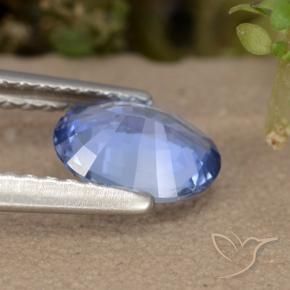 9,17 ctw natürlicher Blau Saphir, Oval, VVS