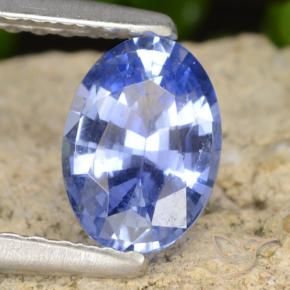 9,17 ctw natürlicher Mittleres Marineblau Saphir, Oval, VVS