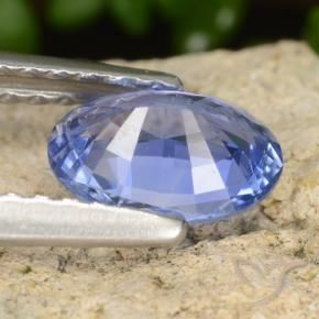 9,17 ctw natürlicher Mittleres Marineblau Saphir, Oval, VVS
