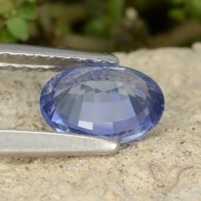 9,17 ctw natürlicher Elektrisches Lila Blau Saphir, Oval, VVS