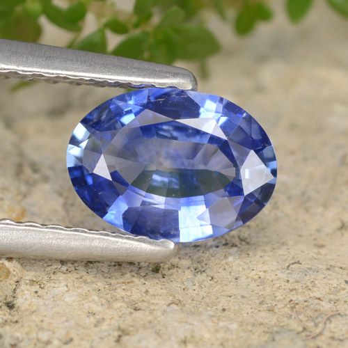 0.83ct Natürlicher Blau Saphir, Oval, VVS-VS