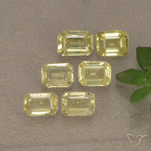 1.60ctw Natürlicher Helles Ananasgelb Saphir, Oktagonschliff, VS, Photo A