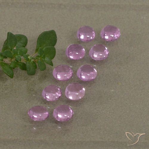 1.53ctw Natürlicher Purpur Rosa Saphir, Runden, Transparent