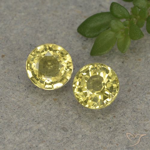 0.89ctw Natürlicher hellgelb Saphir, Runden, VVS-VS