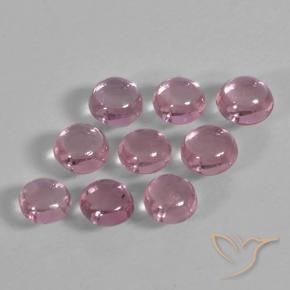 1.56 ct natürliche Medium Deep Pink Saphir-Edelsteine, Runden, Transparent