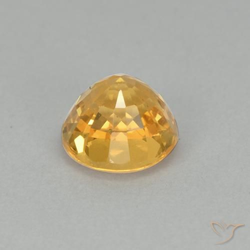 9,17 ctw natürlicher Dunkelgolden Saphir, Runden, VVS