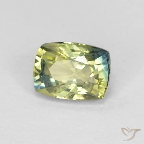 9,17 ctw natürlicher Mehrfarbig Saphir, Kissen, VS