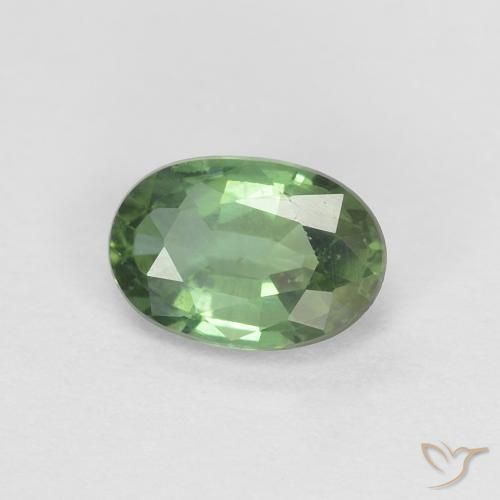 0.53ct Natürlicher Waldgrün Saphir, Oval, VVS-VS