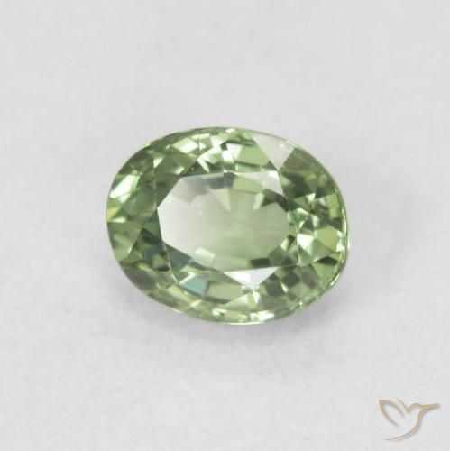 9,17 ctw natürlicher Medium Light Green Saphir, Oval, VVS-VS