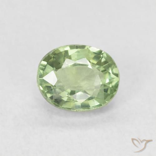 0.63ct Natürlicher Sehr helles Salbeigrün Saphir, Oval, VVS-VS