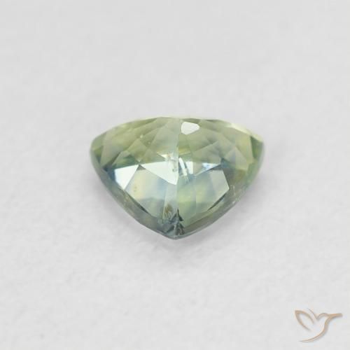 9,17 ctw natürlicher Medium Light Green Saphir, Trillion, VVS-VS