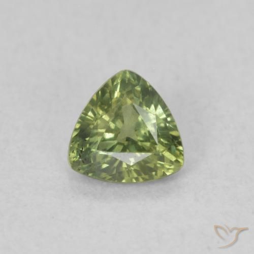 0.35ct Natürlicher Waldgrün Saphir, Trillion, VVS-VS