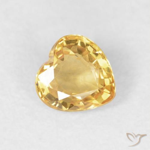 9,17 ctw natürlicher Golden Saphir, Herz, VVS-VS