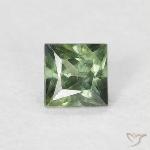 0.21ct Natürlicher Helles Waldgrün Saphir, Quadrat, VS