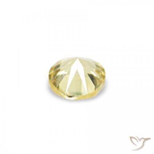 1.54 ct natürliche Medium Light-Yellow Saphir-Edelsteine, Runden, VVS-VS