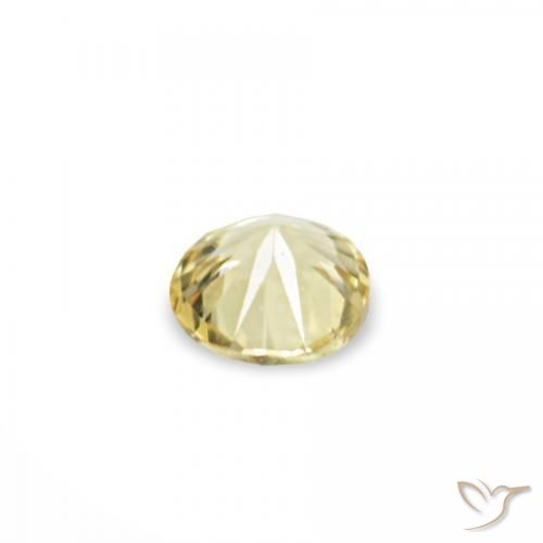 1.55 ct natürliche Helles Laguna-Gelb Saphir-Edelsteine, Runden, VVS-VS