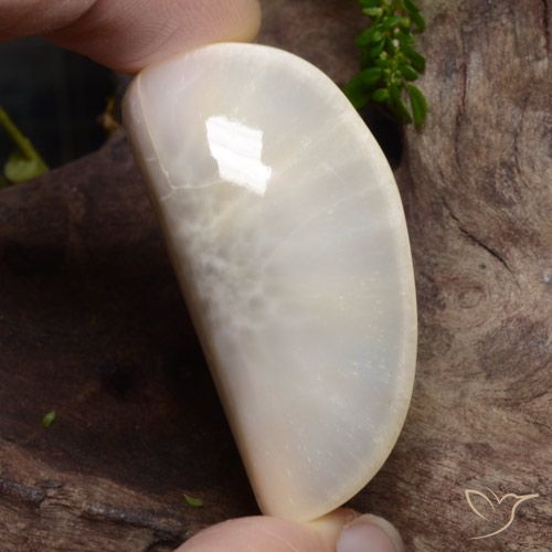 63.74ct Natürlicher Weiß Scolecit, Fantasie, Lichtundurchlässig