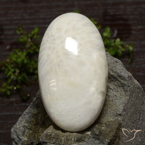 48.61ct Natürlicher Hellweiß Skolezit, Oval, Lichtundurchlässig
