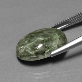 10,69 ctw natürlicher grüner Seraphinit, Oval Schliff, Lichtundurchlässig
