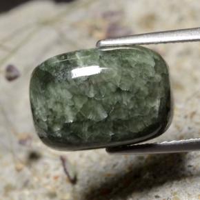 5,99 ctw natürlicher grüner Seraphinit, Kissenschliff, Lichtundurchlässig