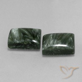 16.43 ct natürliche Waldgrün Seraphinite-Edelsteine, Baguette, Lichtundurchlässig