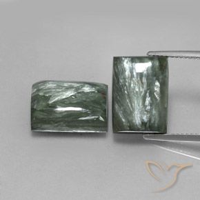 15.99ctw Natürlicher Mittelgrün Seraphinite, Baguette, Lichtundurchlässig