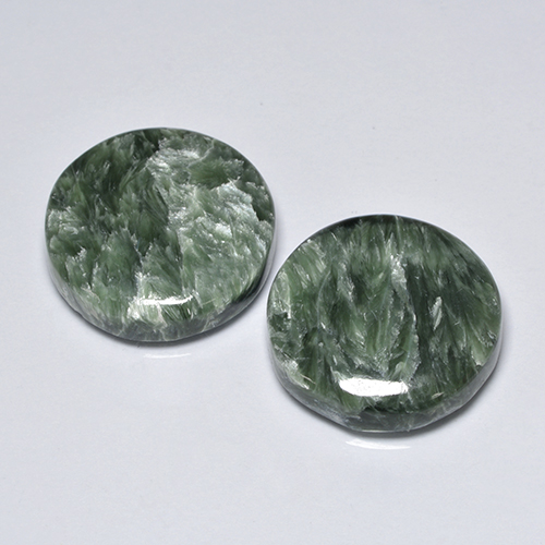 16.73 ct natürliche Mittelgrün Seraphinite-Edelsteine, Rund Schliff, Lichtundurchlässig