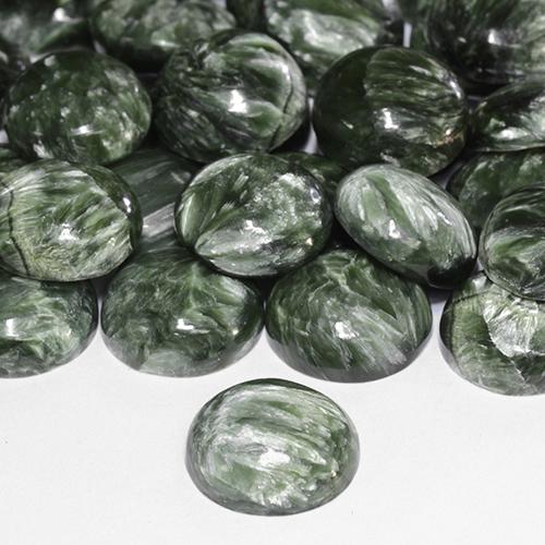 4,85 ctw natürlicher grüner Seraphinit, Rundschliff, Lichtundurchlässig