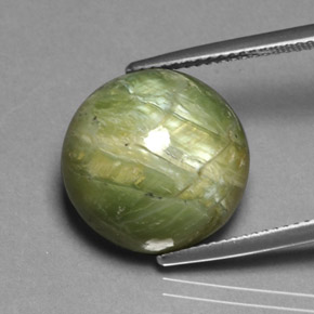 11,85 ctw natürlicher grüner Serpentin, Rundschliff, Lichtundurchlässig