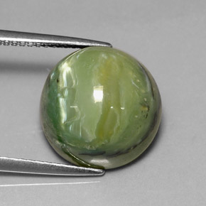 8,26 ctw natürlicher grüner Serpentin, Rundschliff, Lichtundurchlässig