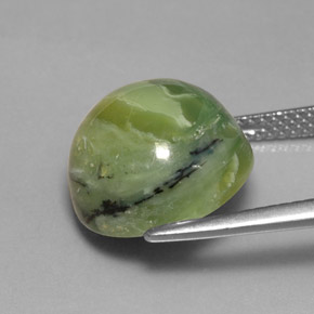 8,26 ctw natürlicher grüner Serpentin, Rundschliff, Lichtundurchlässig