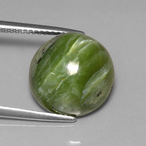 7,28 ctw natürlicher grüner Serpentin, Rundschliff, Lichtundurchlässig