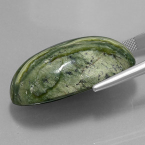 49,97 ctw natürlicher grüner Serpentin, Oval Schliff, Lichtundurchlässig
