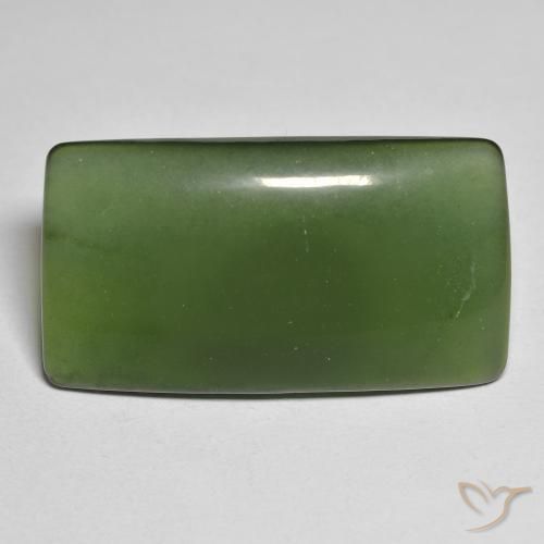 25.58ct Natürlicher dunkelgrün Serpentin, Kissen, Lichtdurchlässig