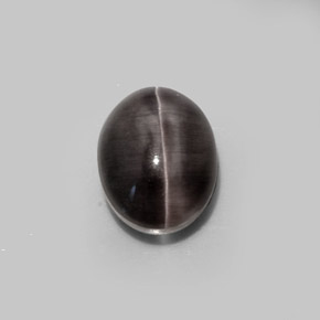 5,20 ctw natürlicher brauner Sillimanite Cat's Eye, Oval Schliff, Lichtdurchlässig