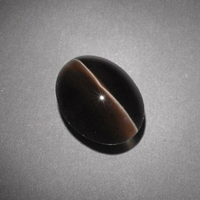 4,54 ctw natürlicher brauner Sillimanite Cat's Eye, Transparent, Transparent / Lichtdurchlässig