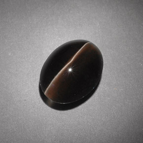 4,54 ctw natürlicher brauner Sillimanite Cat's Eye, Transparent, Transparent / Lichtdurchlässig