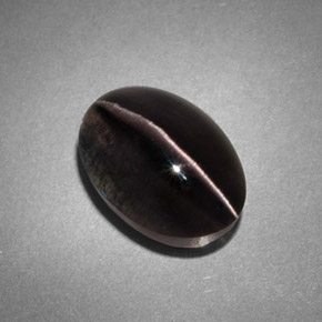 4,45 ctw natürlicher grauer Sillimanite Cat's Eye, Transparent, Transparent / Lichtdurchlässig