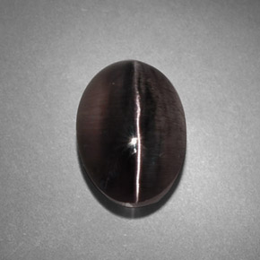 4,45 ctw natürlicher grauer Sillimanite Cat's Eye, Transparent, Transparent / Lichtdurchlässig