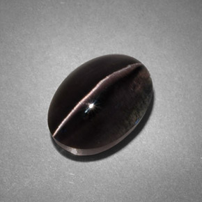 4,45 ctw natürlicher grauer Sillimanite Cat's Eye, Transparent, Transparent / Lichtdurchlässig